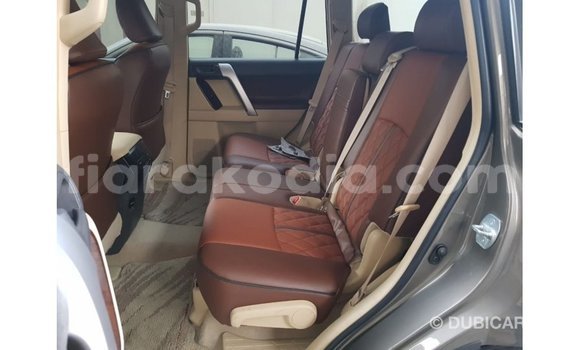 Hividy Toyota Prado Brown Car in Import - Dubai in Diana Hividy Toyota Prado Brown Car in Import - Dubai in Diana