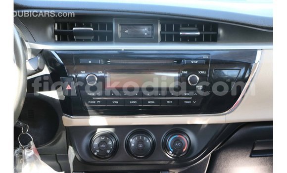 Hividy Toyota Corolla fotsy Car in Import - Dubai in Diana Hividy Toyota Corolla fotsy Car in Import - Dubai in Diana