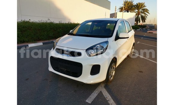 Buy Import Kia Picanto White Car in Import - Dubai in Diana Buy Import Kia Picanto White Car in Import - Dubai in Diana
