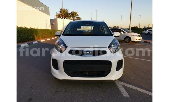 Buy Import Kia Picanto White Car in Import - Dubai in Diana Buy Import Kia Picanto White Car in Import - Dubai in Diana