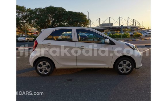 Buy Import Kia Picanto White Car in Import - Dubai in Diana Buy Import Kia Picanto White Car in Import - Dubai in Diana