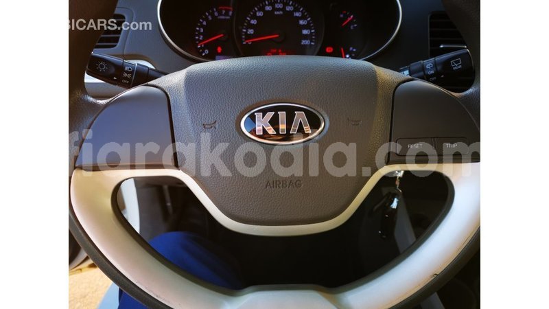 Big with watermark kia picanto diana import dubai 4470