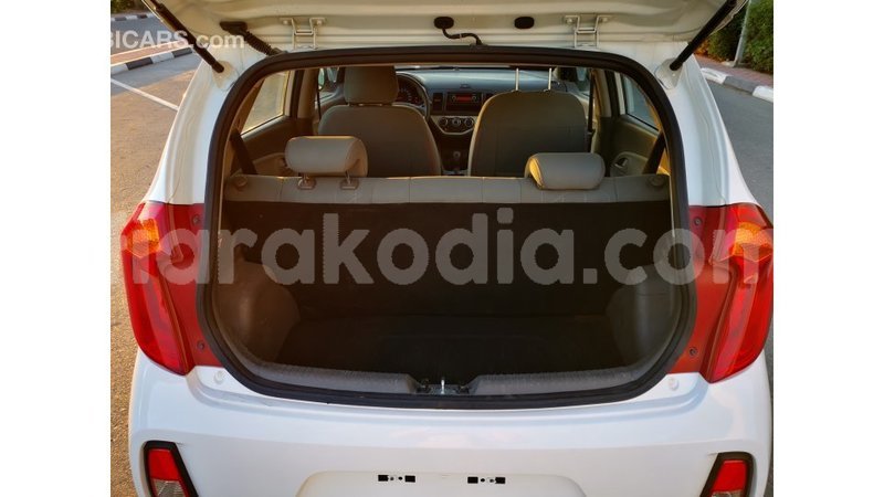 Big with watermark kia picanto diana import dubai 4470