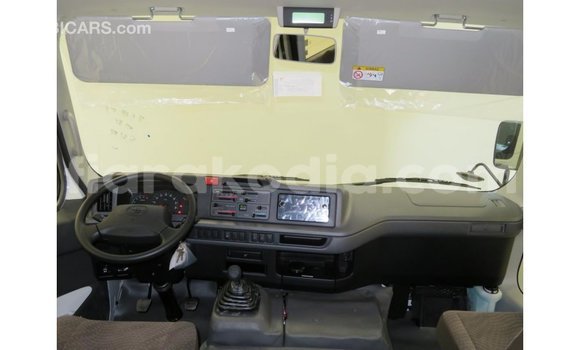 Hividy Toyota Coaster fotsy Car in Import - Dubai in Diana Hividy Toyota Coaster fotsy Car in Import - Dubai in Diana