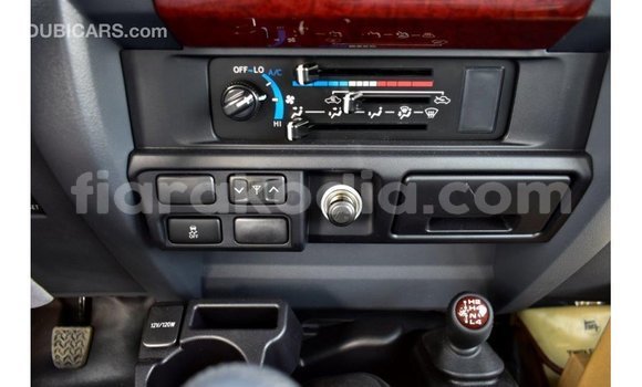 Acheter Import Voiture Toyota Land Cruiser Autre à Import - Dubai, Diana Acheter Import Voiture Toyota Land Cruiser Autre à Import - Dubai, Diana