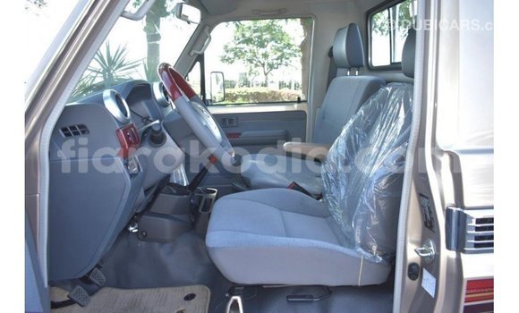Acheter Import Voiture Toyota Land Cruiser Autre à Import - Dubai, Diana Acheter Import Voiture Toyota Land Cruiser Autre à Import - Dubai, Diana