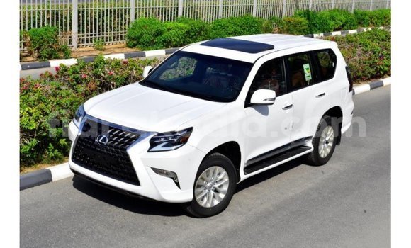 Acheter Import Voiture Lexus GX Blanc à Import - Dubai, Diana Acheter Import Voiture Lexus GX Blanc à Import - Dubai, Diana
