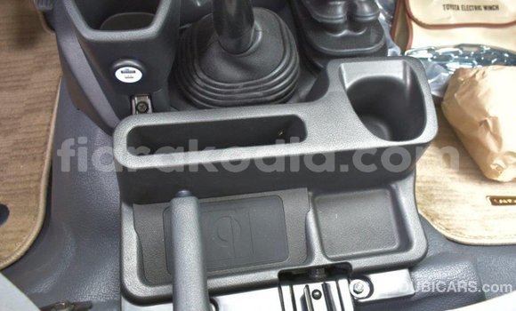 Acheter Import Voiture Toyota Land Cruiser Autre à Import - Dubai, Diana Acheter Import Voiture Toyota Land Cruiser Autre à Import - Dubai, Diana