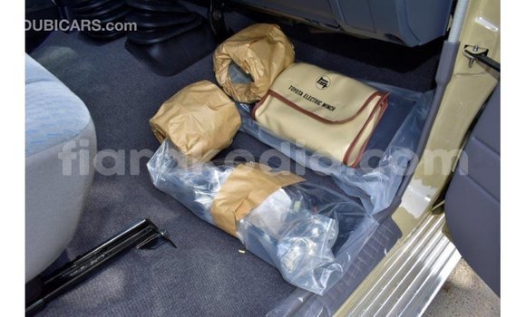 Acheter Import Voiture Toyota Land Cruiser Beige à Import - Dubai, Diana Acheter Import Voiture Toyota Land Cruiser Beige à Import - Dubai, Diana