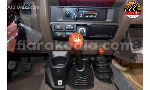 Acheter Import Voiture Toyota Land Cruiser Autre à Import - Dubai, Diana Acheter Import Voiture Toyota Land Cruiser Autre à Import - Dubai, Diana