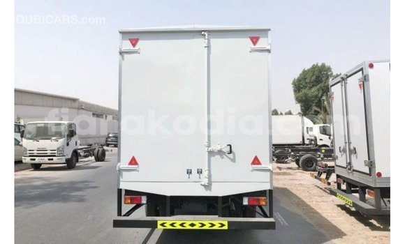 Acheter Import Utilitaire Hino 300 Series Blanc à Import - Dubai, Diana Acheter Import Utilitaire Hino 300 Series Blanc à Import - Dubai, Diana