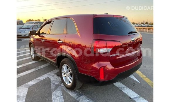 Hividy Kia Sorento Red Car in Import - Dubai in Diana Hividy Kia Sorento Red Car in Import - Dubai in Diana