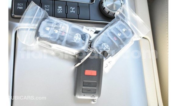 Acheter Import Voiture Toyota Land Cruiser Blanc à Import - Dubai, Diana Acheter Import Voiture Toyota Land Cruiser Blanc à Import - Dubai, Diana