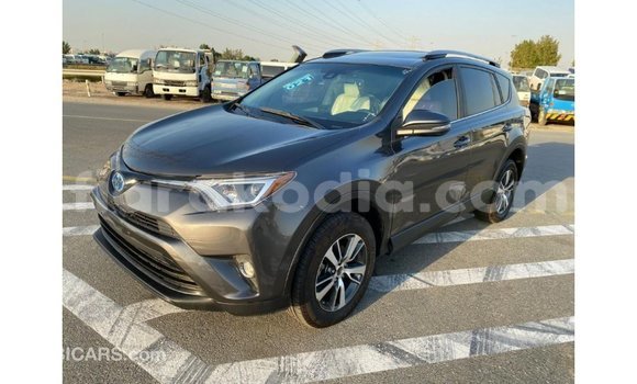 Hividy Toyota HiAce Hafa Truck in Import - Dubai in Diana Hividy Toyota HiAce Hafa Truck in Import - Dubai in Diana