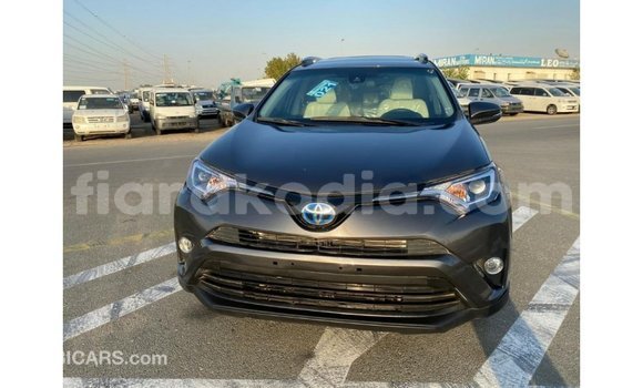 Hividy Toyota HiAce Hafa Truck in Import - Dubai in Diana Hividy Toyota HiAce Hafa Truck in Import - Dubai in Diana