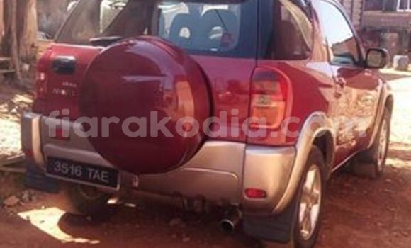 Acheter Occasion Voiture Toyota RAV4 Rouge à Antananarivo au Analamanga Acheter Occasion Voiture Toyota RAV4 Rouge à Antananarivo au Analamanga