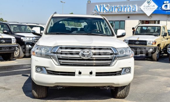 Buy Import Toyota Land Cruiser White Car in Import - Dubai in Diana Buy Import Toyota Land Cruiser White Car in Import - Dubai in Diana