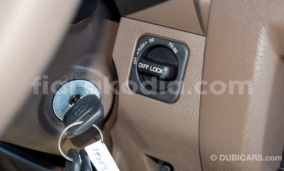 Buy Import Toyota Land Cruiser Beige Car in Import - Dubai in Diana Buy Import Toyota Land Cruiser Beige Car in Import - Dubai in Diana