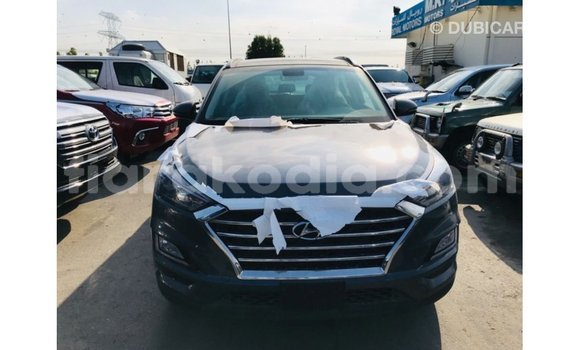 Acheter Import Voiture Hyundai Tucson Autre à Import - Dubai, Diana Acheter Import Voiture Hyundai Tucson Autre à Import - Dubai, Diana