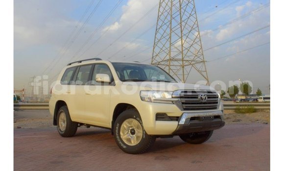 Acheter Import Voiture Toyota Land Cruiser Blanc à Import - Dubai, Diana Acheter Import Voiture Toyota Land Cruiser Blanc à Import - Dubai, Diana