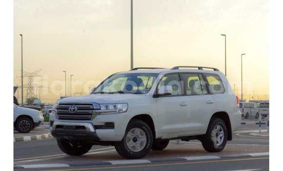 Acheter Import Voiture Toyota Land Cruiser Blanc à Import - Dubai, Diana Acheter Import Voiture Toyota Land Cruiser Blanc à Import - Dubai, Diana