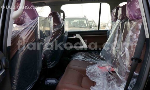 Hividy Toyota Land Cruiser Black Car in Import - Dubai in Diana Hividy Toyota Land Cruiser Black Car in Import - Dubai in Diana
