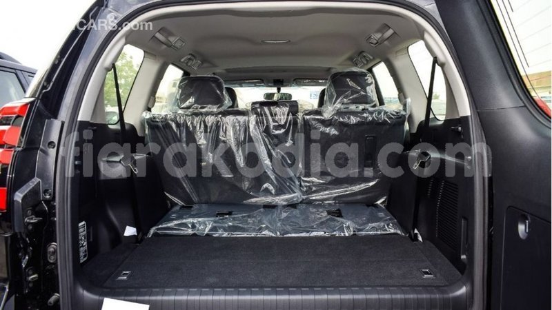 Big with watermark toyota prado diana import dubai 4794