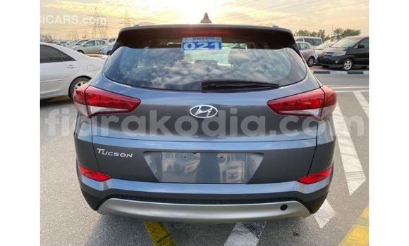 Acheter Import Voiture Hyundai Tucson Blanc à Import - Dubai, Diana Acheter Import Voiture Hyundai Tucson Blanc à Import - Dubai, Diana