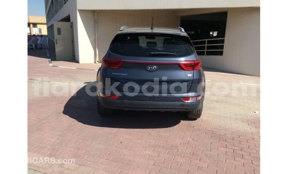 Acheter Import Voiture Kia Sportage Bleu à Import - Dubai, Diana Acheter Import Voiture Kia Sportage Bleu à Import - Dubai, Diana