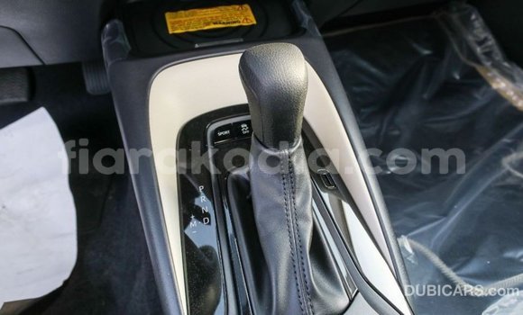 Hividy Toyota Corolla fotsy Car in Import - Dubai in Diana Hividy Toyota Corolla fotsy Car in Import - Dubai in Diana