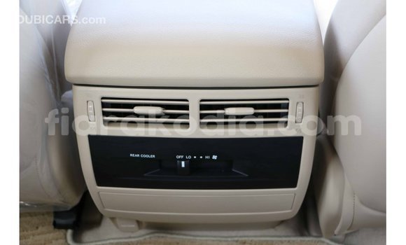 Hividy Toyota Land Cruiser Black Car in Import - Dubai in Diana Hividy Toyota Land Cruiser Black Car in Import - Dubai in Diana