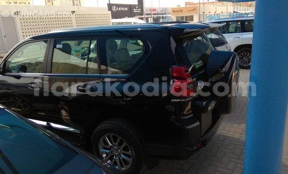 Hividy Toyota Prado Black Car in Import - Dubai in Diana Hividy Toyota Prado Black Car in Import - Dubai in Diana