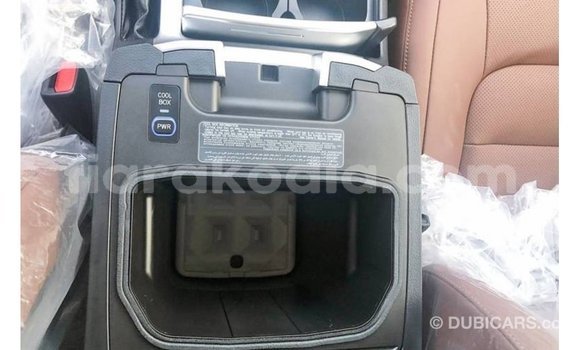 Acheter Import Voiture Toyota Land Cruiser Noir à Import - Dubai, Diana Acheter Import Voiture Toyota Land Cruiser Noir à Import - Dubai, Diana