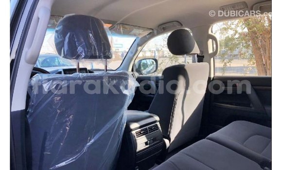 Buy Import Toyota Land Cruiser Black Car in Import - Dubai in Diana Buy Import Toyota Land Cruiser Black Car in Import - Dubai in Diana