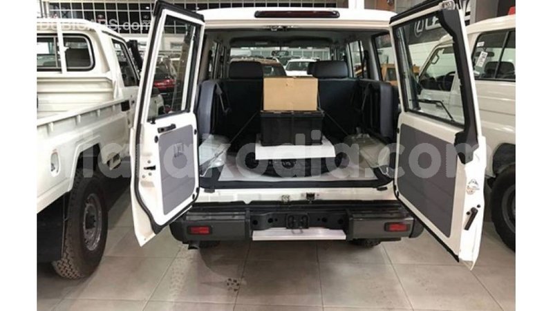 Big with watermark toyota land cruiser diana import dubai 5020