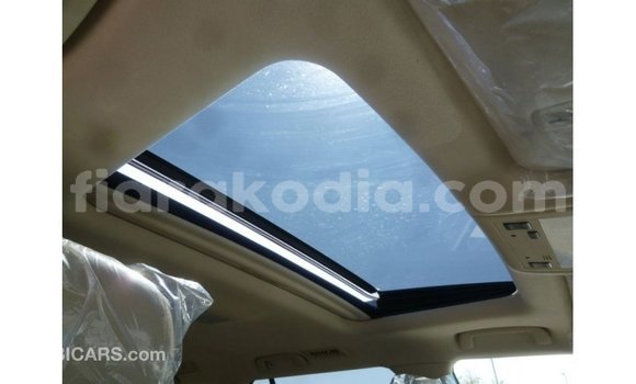 Acheter Import Voiture Toyota Land Cruiser Blanc à Import - Dubai, Diana Acheter Import Voiture Toyota Land Cruiser Blanc à Import - Dubai, Diana