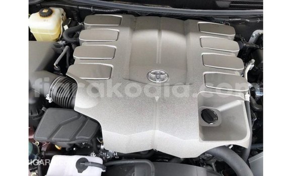 Acheter Import Voiture Toyota Land Cruiser Autre à Import - Dubai, Diana Acheter Import Voiture Toyota Land Cruiser Autre à Import - Dubai, Diana