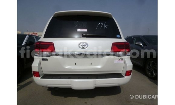 Acheter Import Voiture Toyota Land Cruiser Blanc à Import - Dubai, Diana Acheter Import Voiture Toyota Land Cruiser Blanc à Import - Dubai, Diana