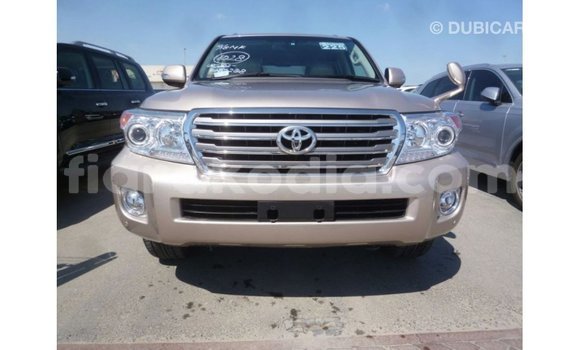 Acheter Import Voiture Toyota Land Cruiser Autre à Import - Dubai, Diana Acheter Import Voiture Toyota Land Cruiser Autre à Import - Dubai, Diana