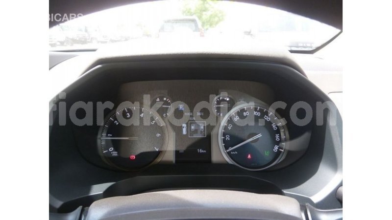 Big with watermark toyota prado diana import dubai 5092