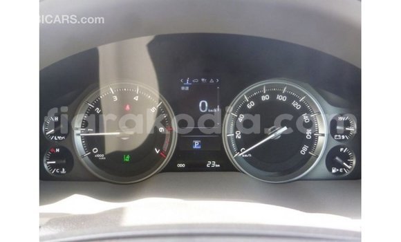 Acheter Import Voiture Toyota Land Cruiser Blanc à Import - Dubai, Diana Acheter Import Voiture Toyota Land Cruiser Blanc à Import - Dubai, Diana