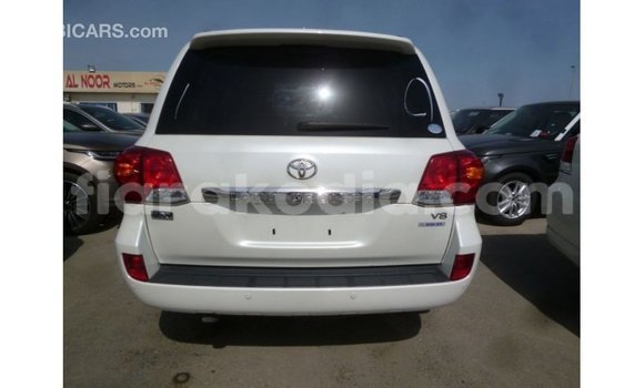 Acheter Import Voiture Toyota Land Cruiser Blanc à Import - Dubai, Diana Acheter Import Voiture Toyota Land Cruiser Blanc à Import - Dubai, Diana