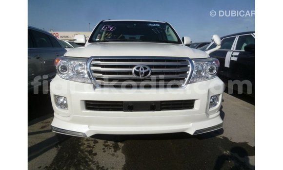 Acheter Import Voiture Toyota Land Cruiser Blanc à Import - Dubai, Diana Acheter Import Voiture Toyota Land Cruiser Blanc à Import - Dubai, Diana