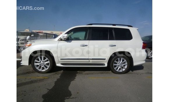 Acheter Import Voiture Toyota Land Cruiser Blanc à Import - Dubai, Diana Acheter Import Voiture Toyota Land Cruiser Blanc à Import - Dubai, Diana