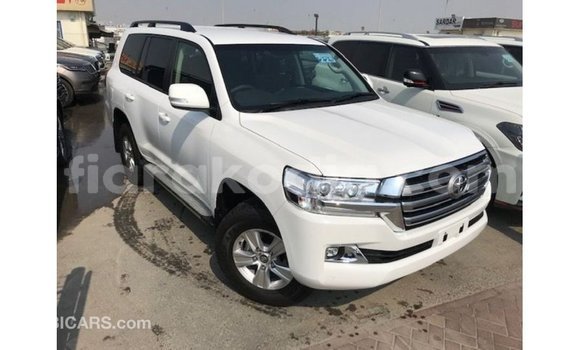 Acheter Import Voiture Toyota Land Cruiser Blanc à Import - Dubai, Diana Acheter Import Voiture Toyota Land Cruiser Blanc à Import - Dubai, Diana