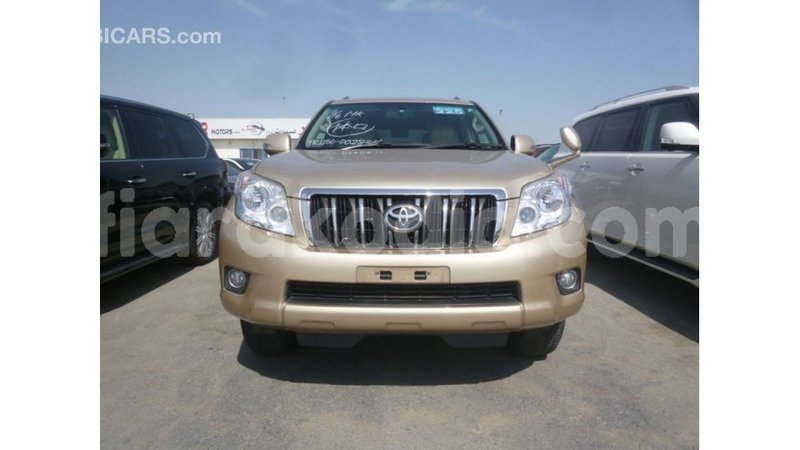 Big with watermark toyota prado diana import dubai 5196