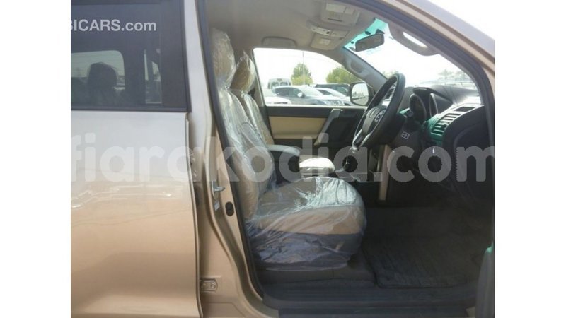 Big with watermark toyota prado diana import dubai 5196