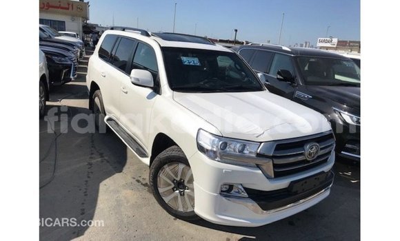 Acheter Import Voiture Toyota Land Cruiser Blanc à Import - Dubai, Diana Acheter Import Voiture Toyota Land Cruiser Blanc à Import - Dubai, Diana