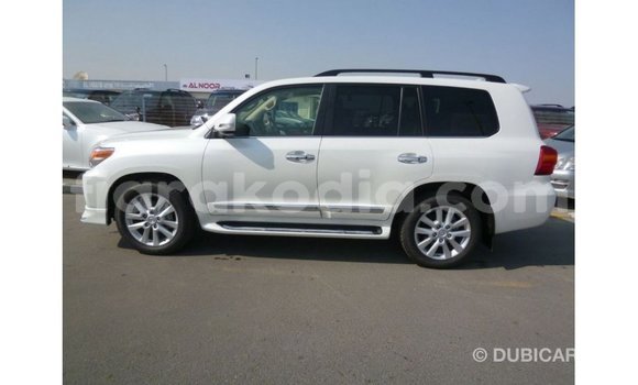 Acheter Import Voiture Toyota Land Cruiser Blanc à Import - Dubai, Diana Acheter Import Voiture Toyota Land Cruiser Blanc à Import - Dubai, Diana