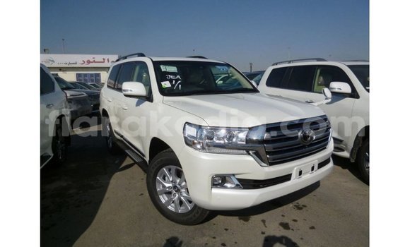 Acheter Import Voiture Toyota Land Cruiser Blanc à Import - Dubai, Diana Acheter Import Voiture Toyota Land Cruiser Blanc à Import - Dubai, Diana